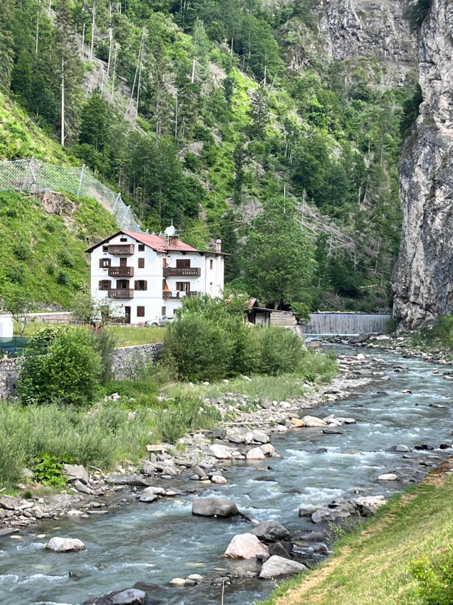 Casa Di Charme Sul Civetta Dolomiti Daire Caprile  Dış mekan fotoğraf