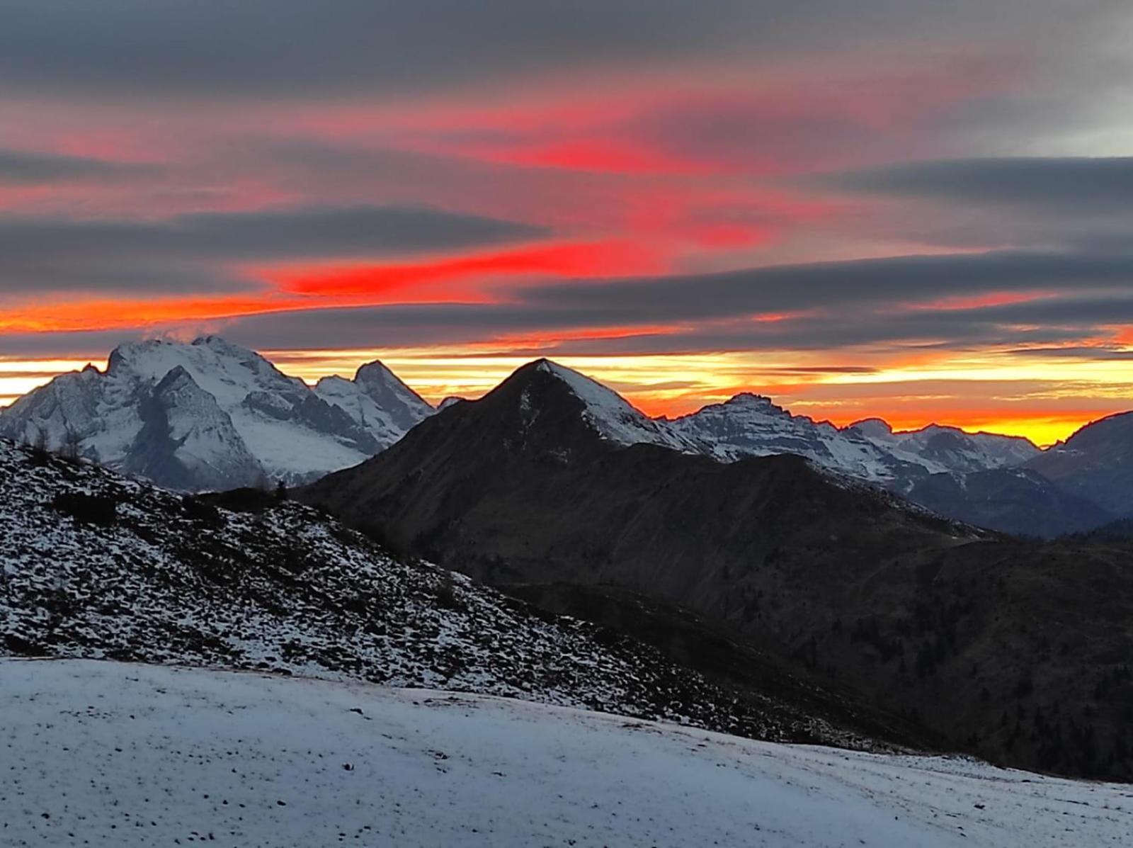 Casa Di Charme Sul Civetta Dolomiti Daire Caprile  Dış mekan fotoğraf