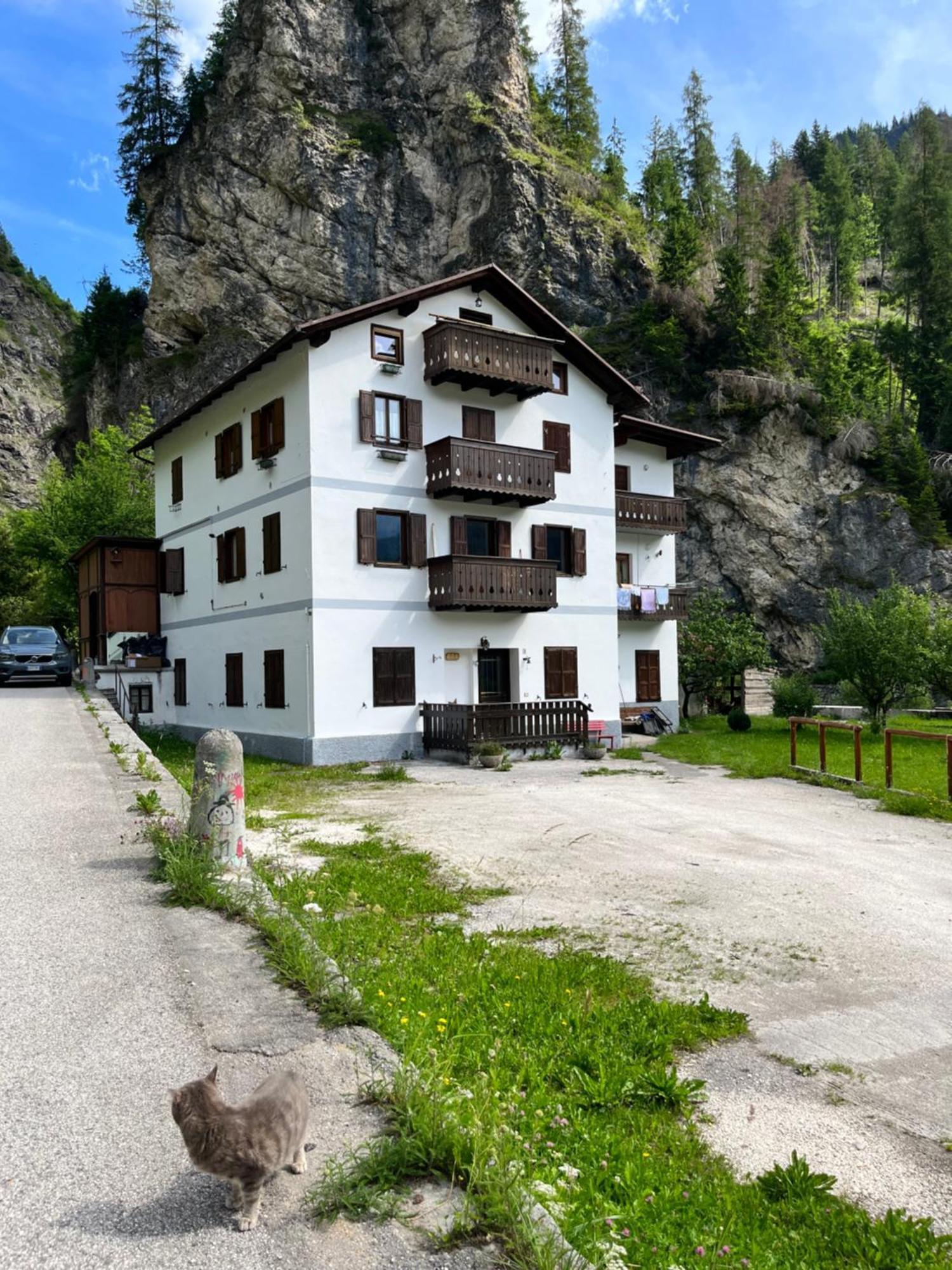 Casa Di Charme Sul Civetta Dolomiti Daire Caprile  Dış mekan fotoğraf